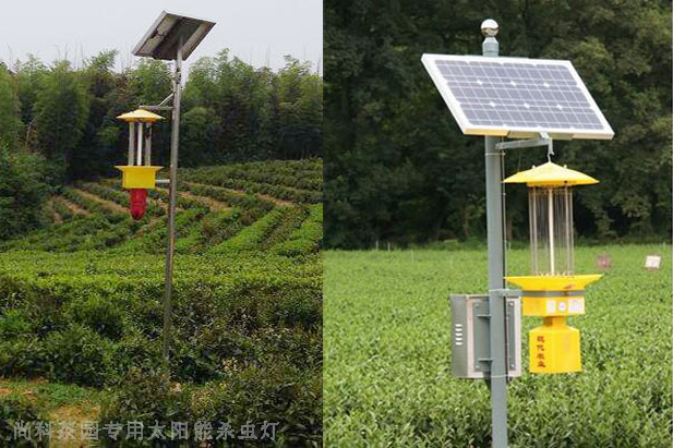 遂川茶園亚洲AV成人网站在线观看麻豆圖片案例