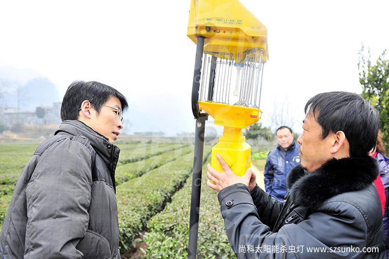 亚洲AV成人网站在线观看麻豆的價格是多少及效果如何