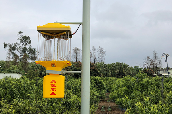 太陽能監控亚洲AV成人网站在线观看麻豆讓茶園更安全