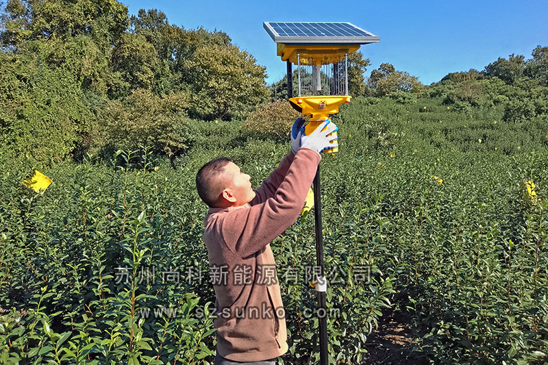 蘇州碧螺春茶園亚洲AV成人网站在线观看麻豆安裝紀實