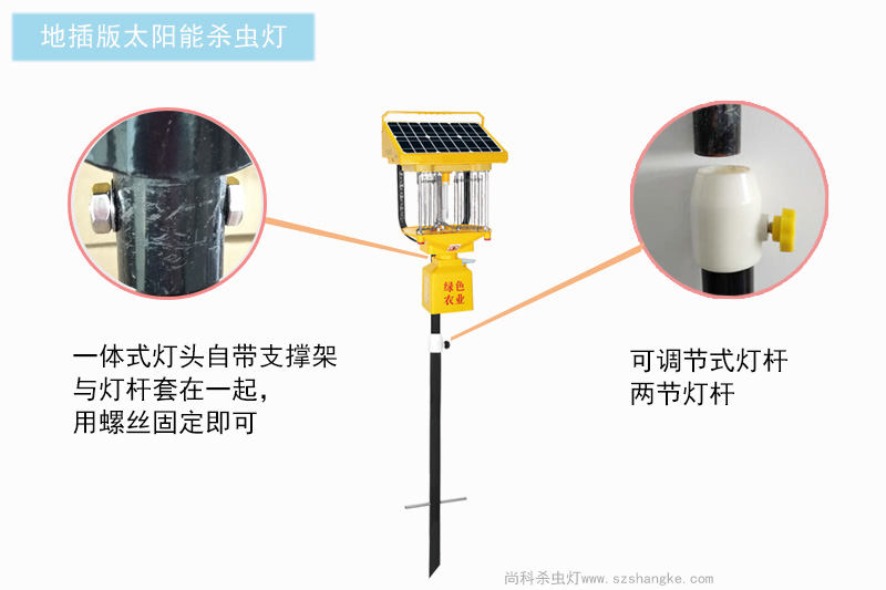 亚洲AV成人网站在线观看麻豆燈杆可直接插地使用