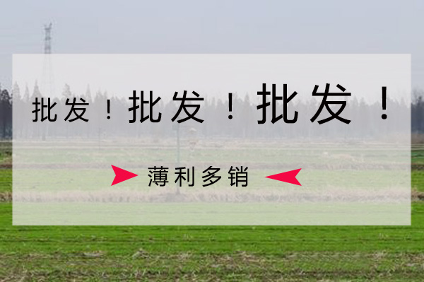 亚洲AV成人网站在线观看麻豆批發價格要比零售價格低